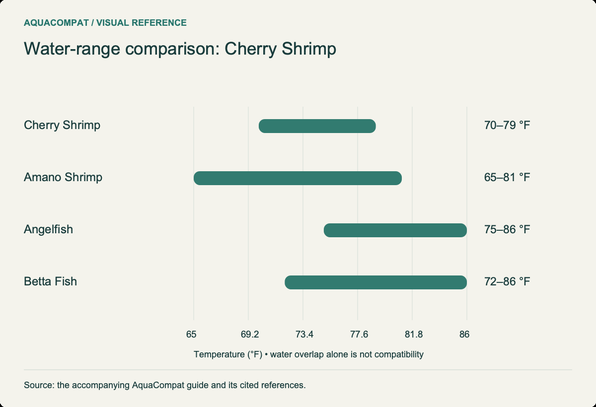 Cherry Shrimp: 70–79 °F; Amano Shrimp: 65–81 °F; Angelfish: 75–86 °F; Betta Fish: 72–86 °F. Overlapping water ranges do not settle behavioural risks.
