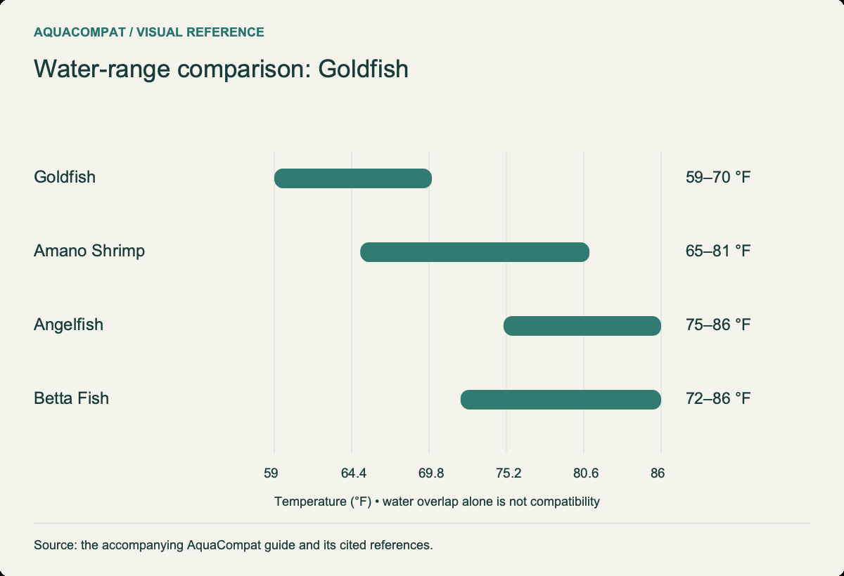 Goldfish: 59–70 °F; Amano Shrimp: 65–81 °F; Angelfish: 75–86 °F; Betta Fish: 72–86 °F. Overlapping water ranges do not settle behavioural risks.